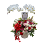 Anggrek-012